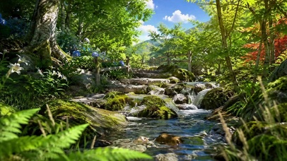 静谧山林溪流治愈美景
