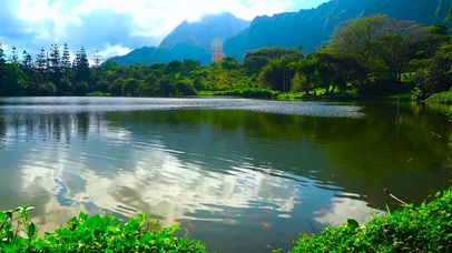 护眼青山绿水湖畔