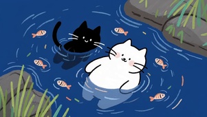 可爱两只猫咪