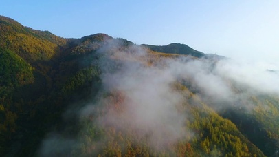 秦岭秋天4K云海