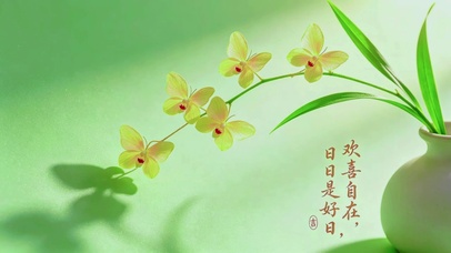 一室温柔文心兰，日子欢喜且安然