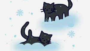 猫咪吖