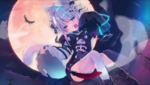 小白猫1