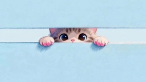 可爱的猫咪