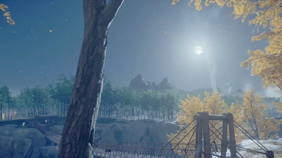 秋天落叶月明星稀夜晚