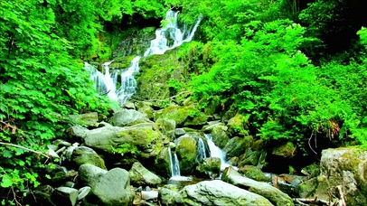 山涧小溪流水 4K