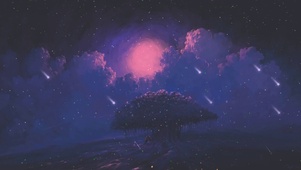 七夕夜晚时光