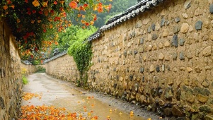 雨天乡村小巷