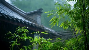 古风竹林雨天