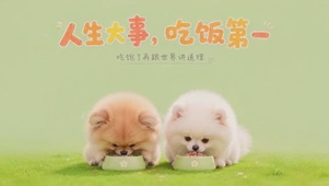 治愈系萌宠|人生大事，吃饭第一