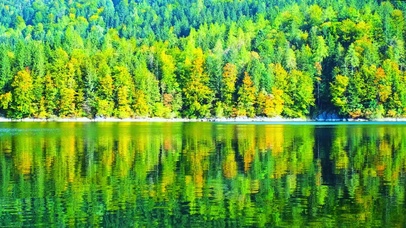 治愈湖光山色4K