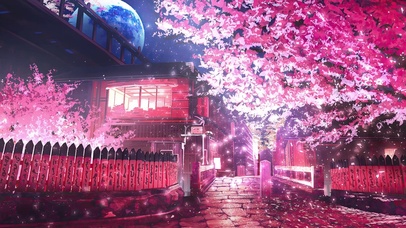 唯美樱花街道夜景