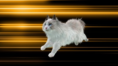 4K奔跑的赛博朋克猫