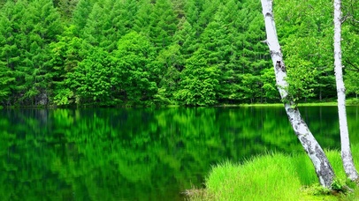 4K护眼山林绿水湖