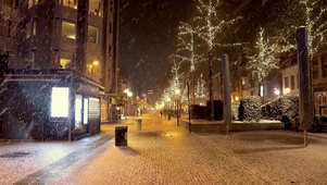 冬日下雪街头