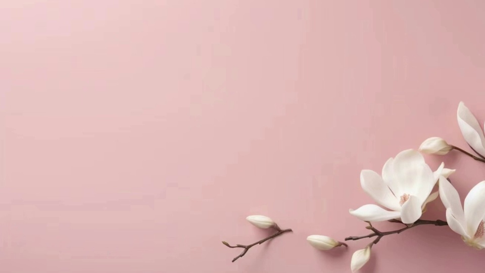 柔粉色哑光背景右下角摆放着带花苞的白色玉兰花枝。