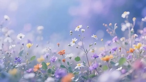梦幻薄雾野花原野