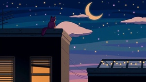 夜晚屋顶上的猫眯