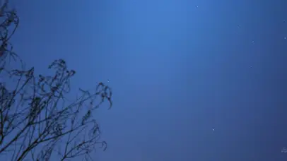 4K夜晚星空