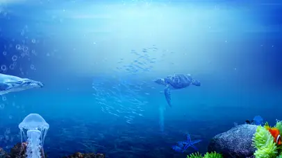 4k唯美海底世界动态壁纸