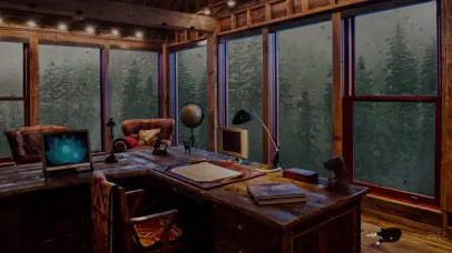 窗外大雨と猫咪