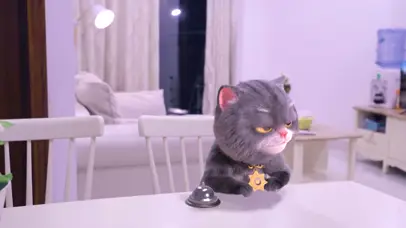 斑布猫-魔法小鱼干