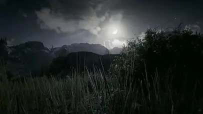 治愈系温柔月光