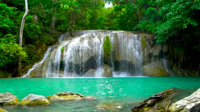 舒适的溪流水潭