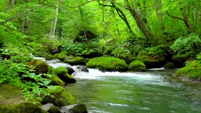 护眼山涧清凉流水