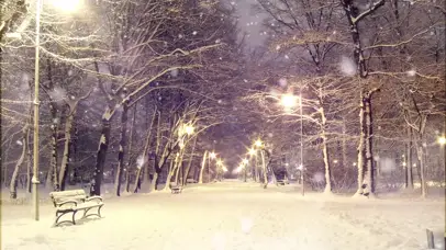 路灯雪景