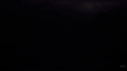 炫彩魔法粒子森林麋鹿飘散动画