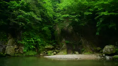 4K山涧绿林溪流