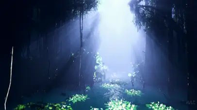 傍晚唯美仙境森林之河