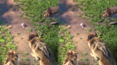 斑布猫-与你同在