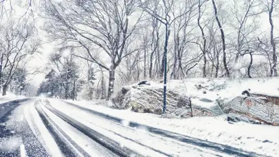 冬季雪景