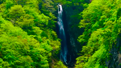山涧绿林瀑布