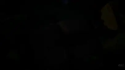 情愫