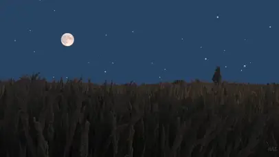 月亮下的稻田
