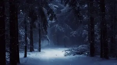 下雪的冬日森林