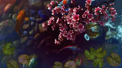锦鲤樱花