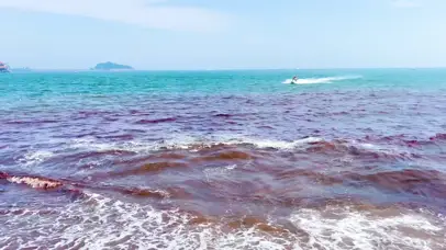 4k青岛海边游客乘坐摩托艇