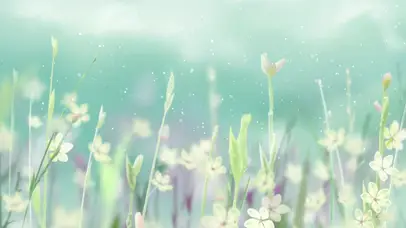 4K安静优雅-护眼