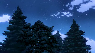 宁静的乡村夜晚微风