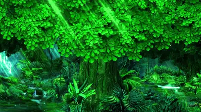 养眼绿色树丛壁纸