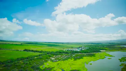 4K草原绿地航拍
