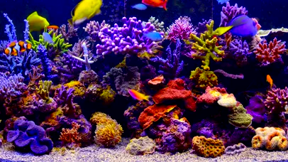 水族馆