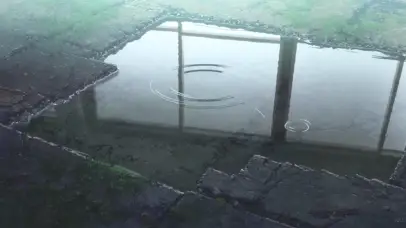 雨后的小水坑