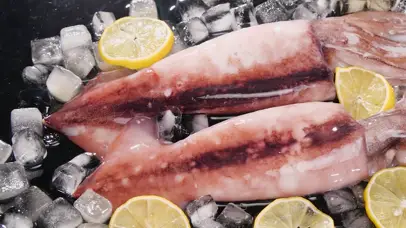 生鲜鱿鱼