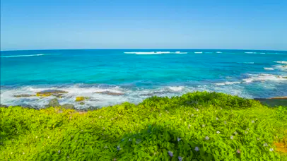 碧海蓝天绿草海浪