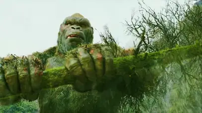 吊打一切的金刚